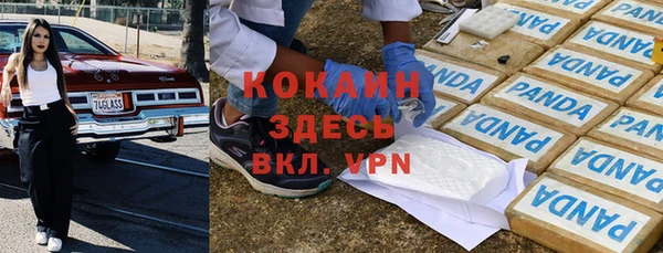 крисы Каменногорск