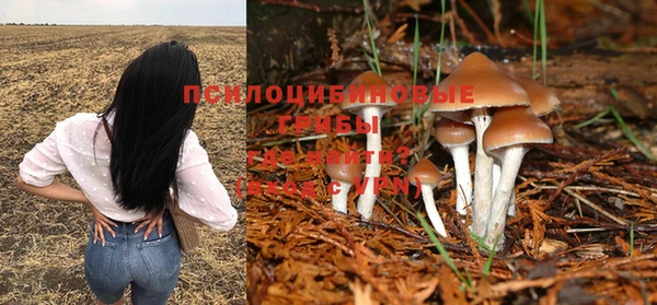 метадон Алексеевка