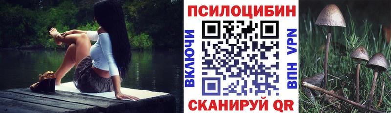 Галлюциногенные грибы Psilocybine cubensis  Калач-на-Дону 